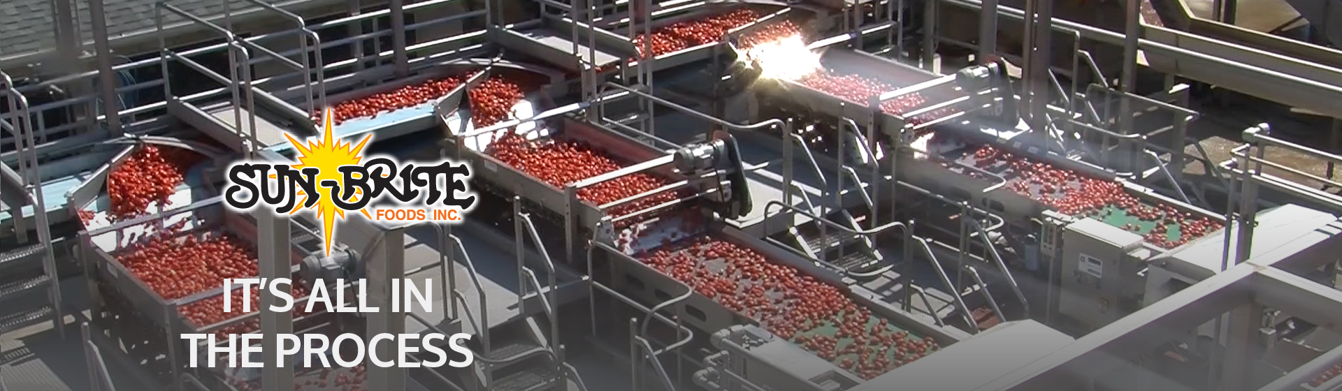 Sun_Brite Foods Inc.