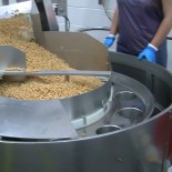 Sun Brite Foods Inc.