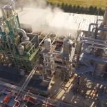 Sun Brite Foods Inc.