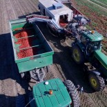 Sun Brite Foods Inc.