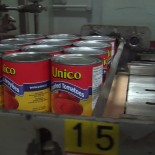 Sun Brite Foods Inc.