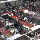 Sun Brite Foods Inc.